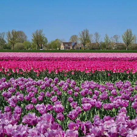 Alpehytte 550 Op Recreatiepark De Wielen Sint Maarten