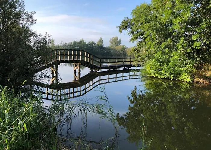 550 Op Recreatiepark De Wielen