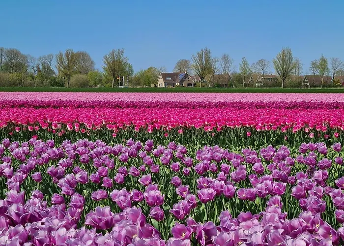 شاليه 550 Op Recreatiepark De Wielen سينت مارتن